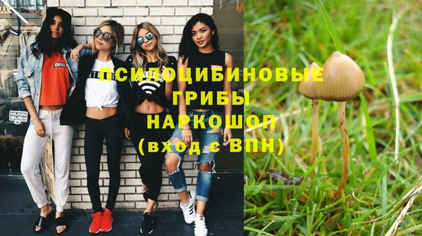 прущий лед Балахна